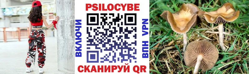 Псилоцибиновые грибы мухоморы  Купить  Белоусово 